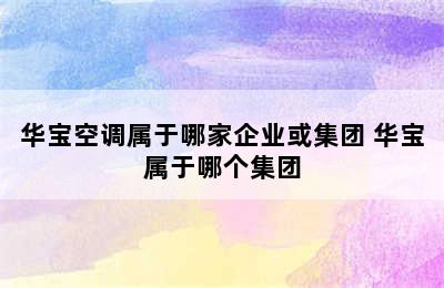 华宝空调属于哪家企业或集团 华宝属于哪个集团